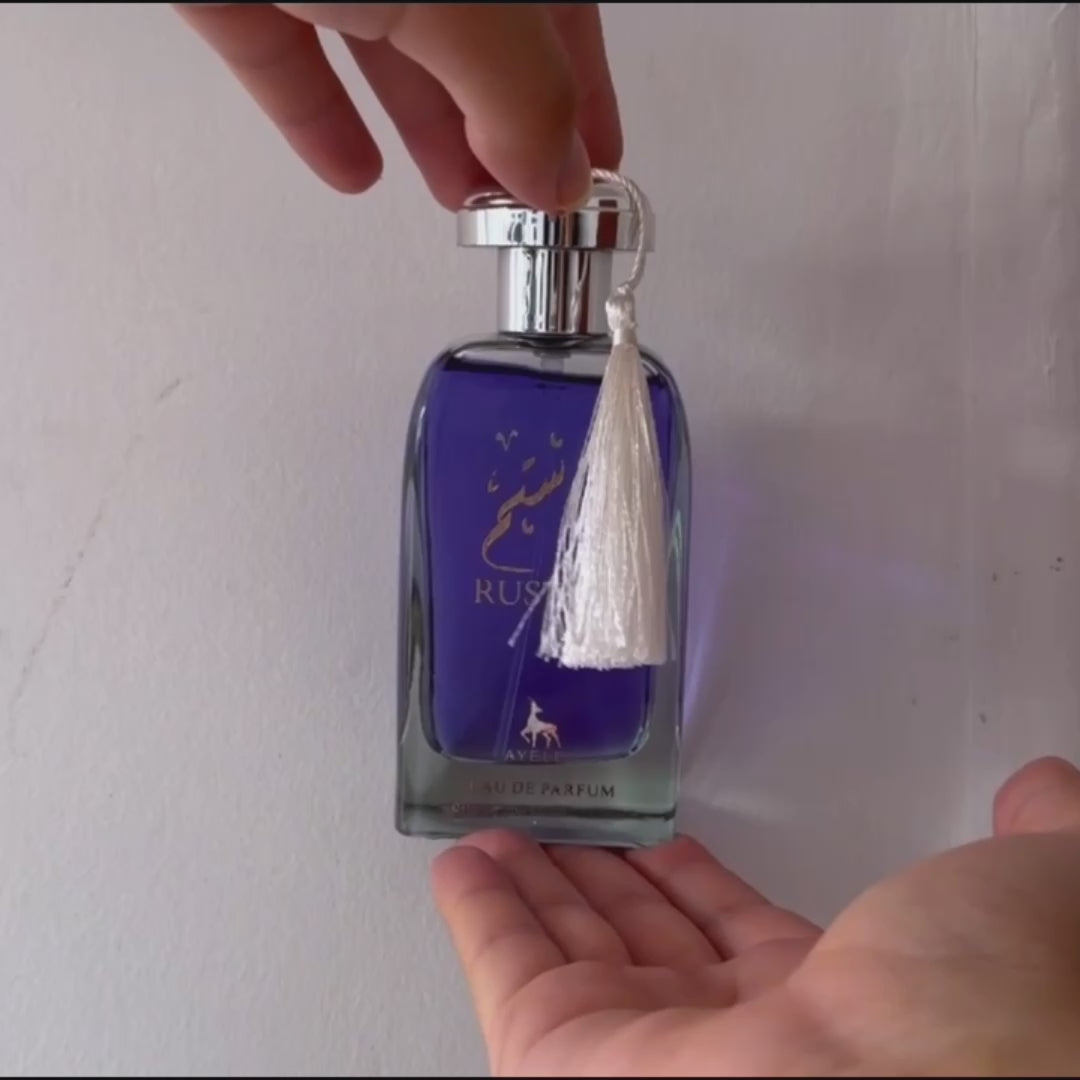 KIT Emprendedor X6 Perfumes 100ml Mixto – Árabes